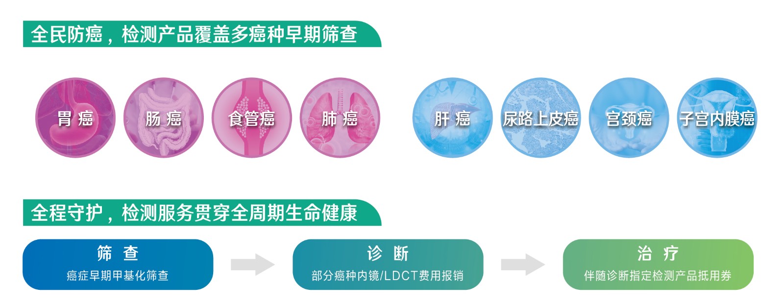 1716345019560732.jpg 20240219 全民防癌 全程守护【单页】210x297mm-03.jpg